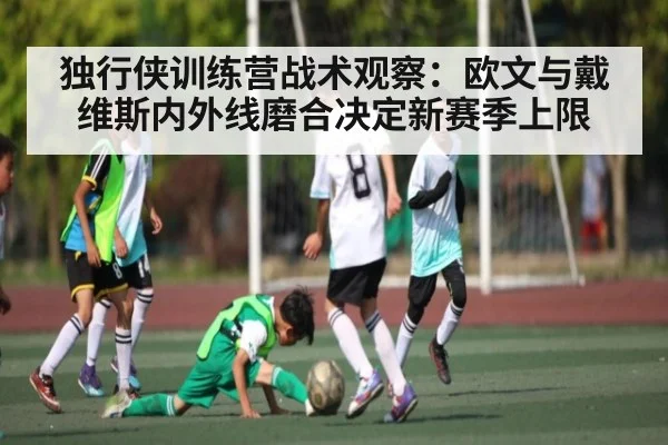 独行侠训练营战术观察:欧文与戴维斯内外线磨合决定新赛季上限